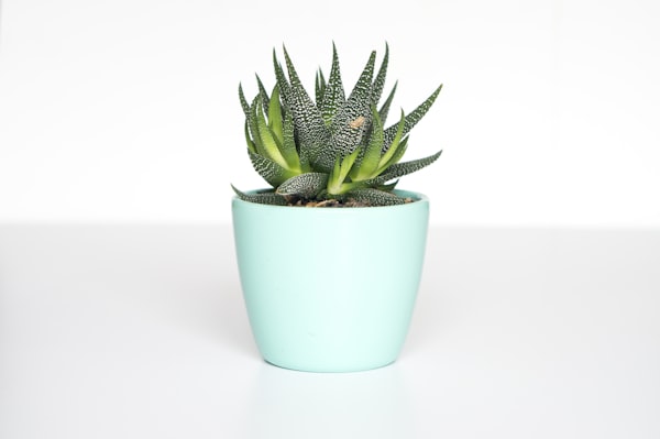 Handmade Turquoise Blue Terracotta Planter